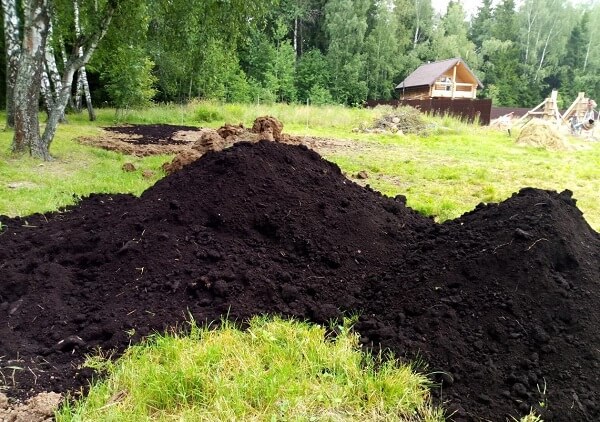 Чернозем